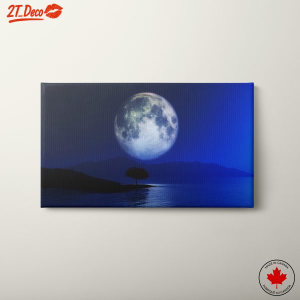 Beautiful Night Landscape with Full Moon