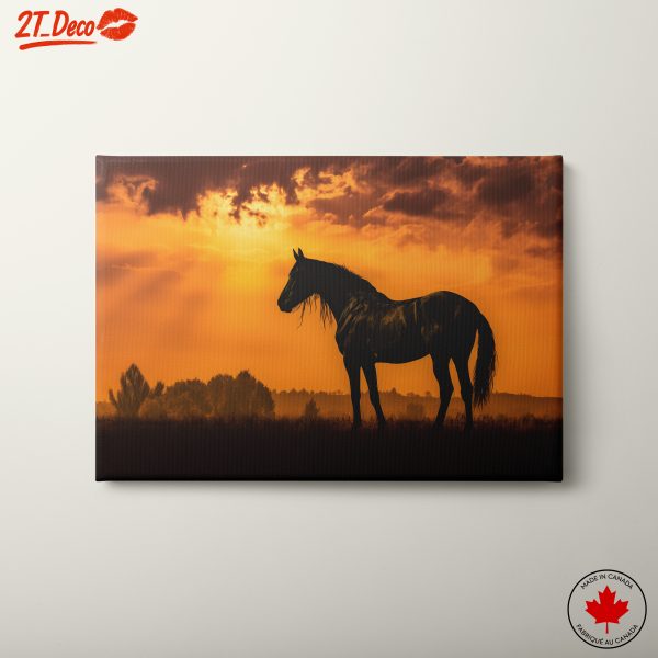 Stunning Horse Silhouette at Sunset