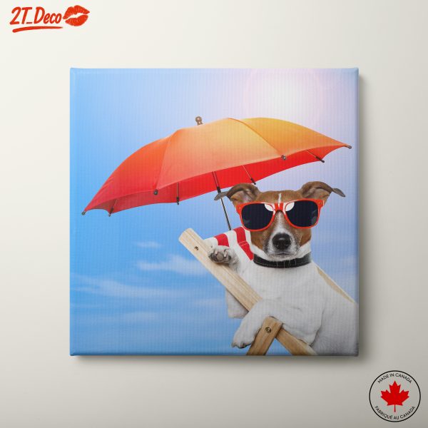Stylish Dog Relaxing Under Umbrella
