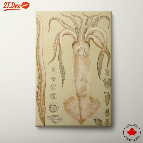 Abstract Squid Artwork