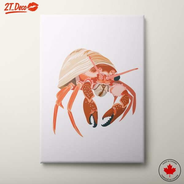 Colorful Hermit Crab Illustration