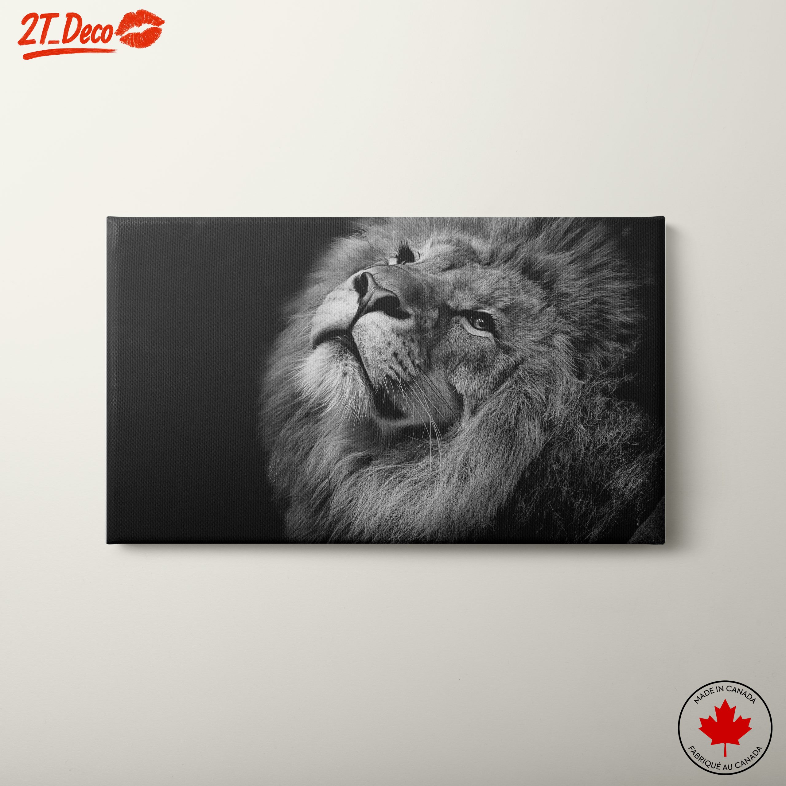 Majestic Black and White Lion Portrait