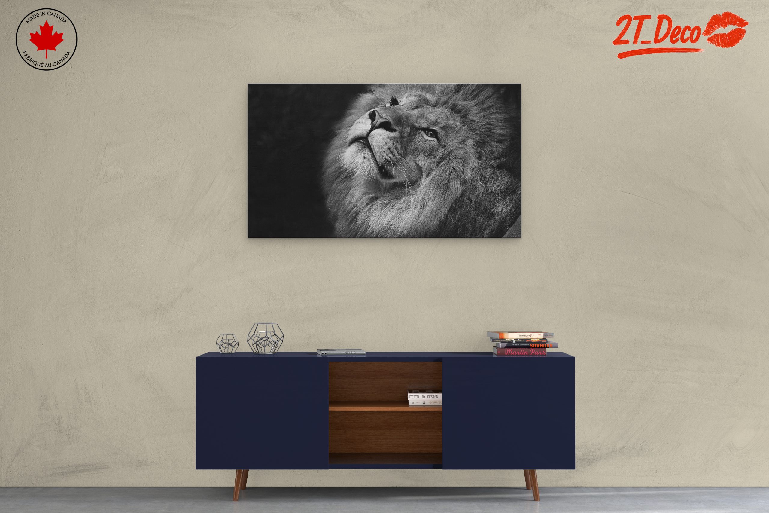 Majestic Black and White Lion Portrait - Image 3