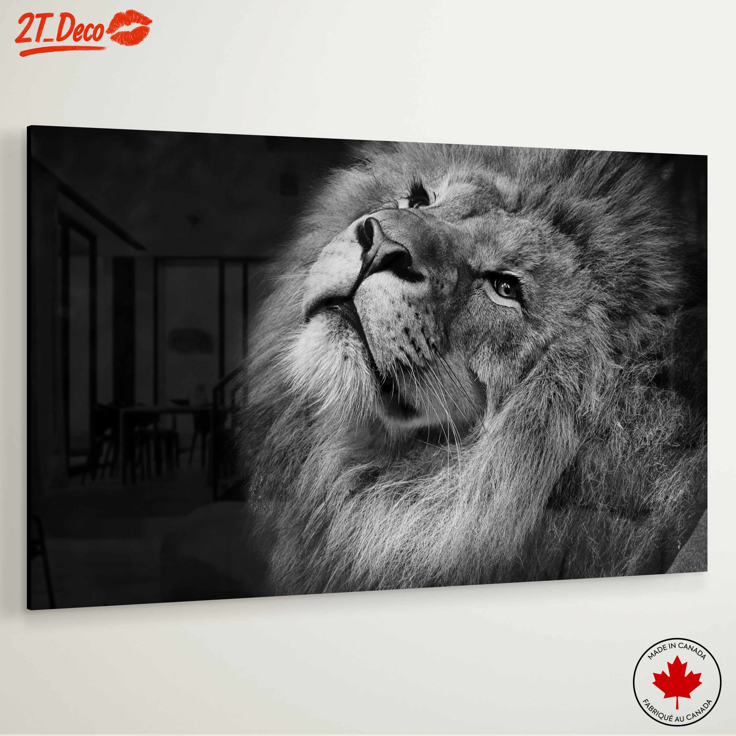 Majestic Black and White Lion Portrait - Image 6