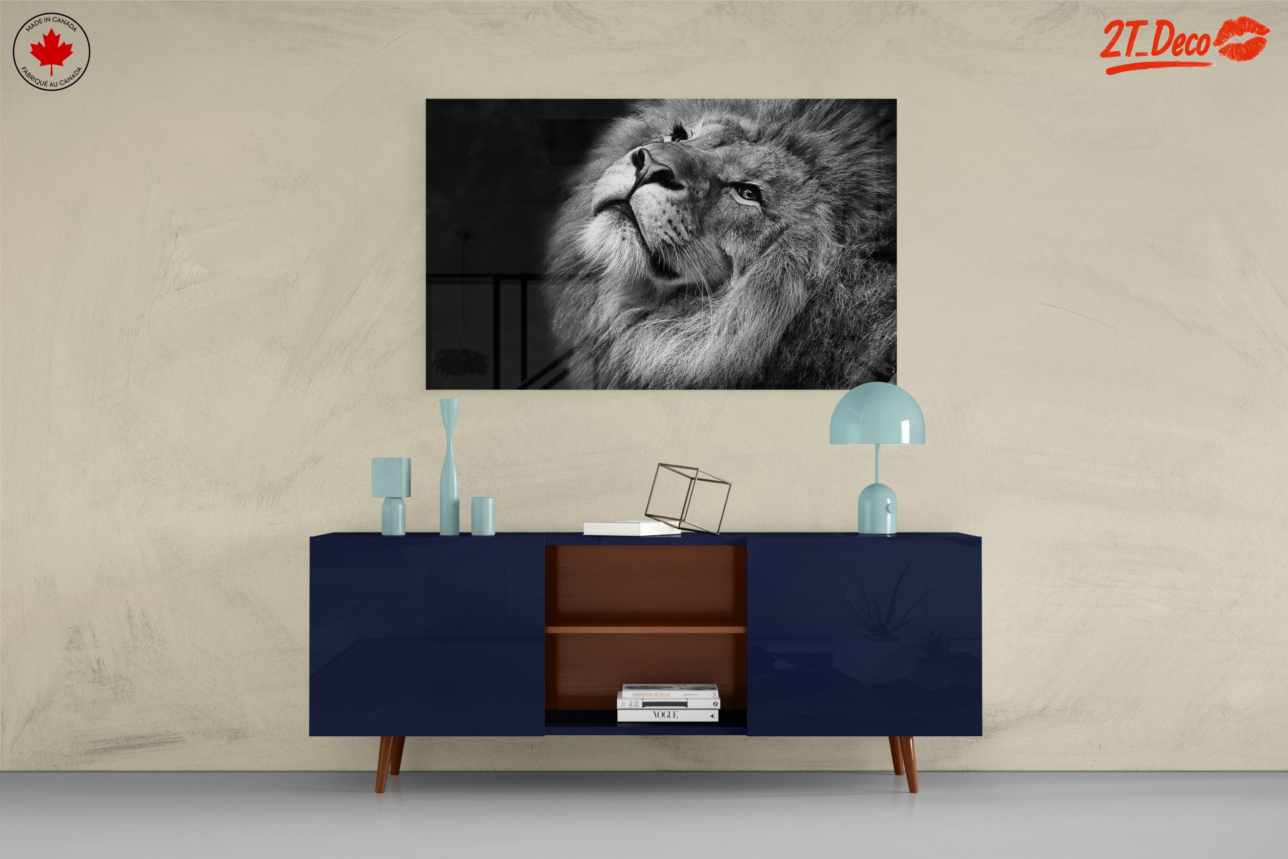 Majestic Black and White Lion Portrait - Image 8