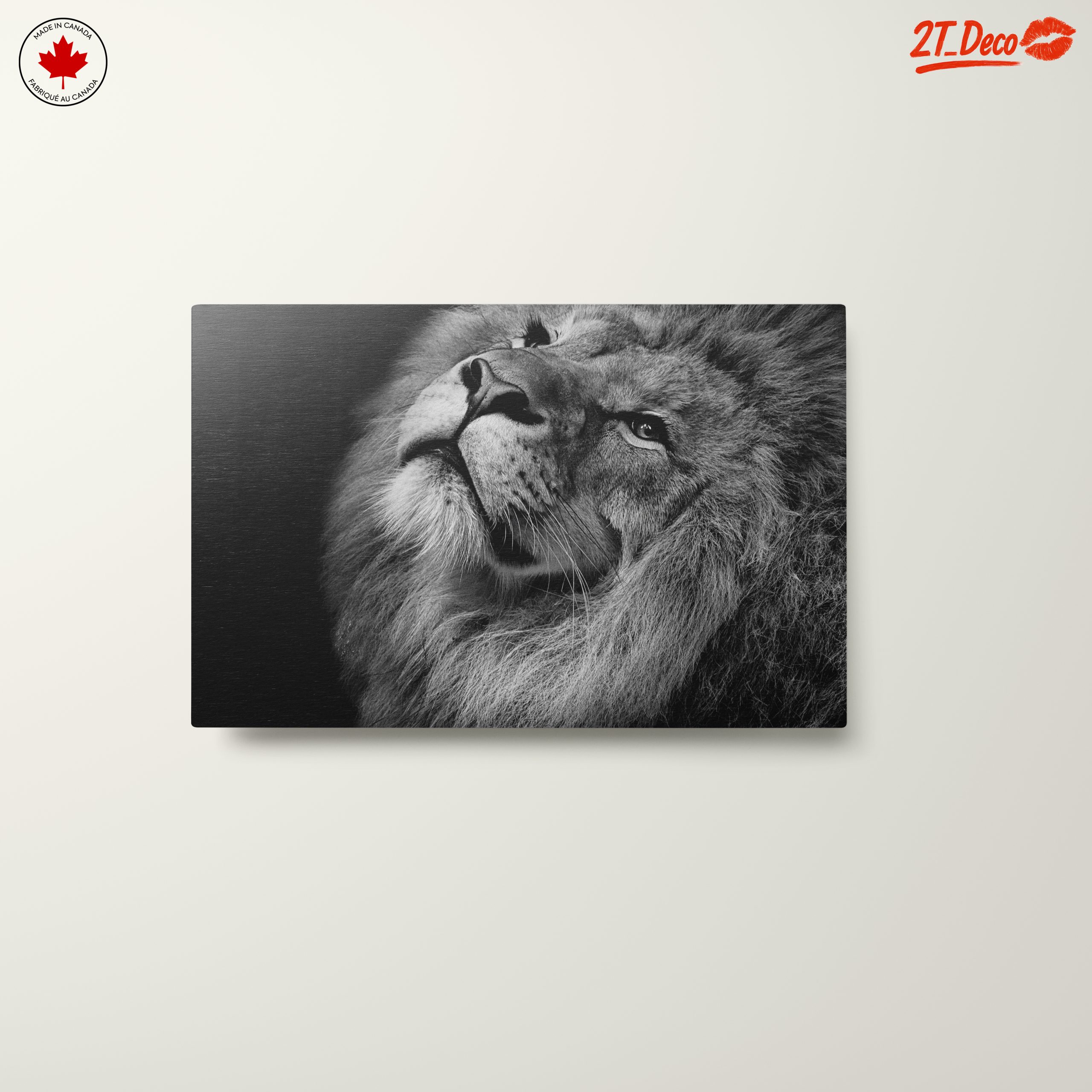 Majestic Black and White Lion Portrait - Image 10