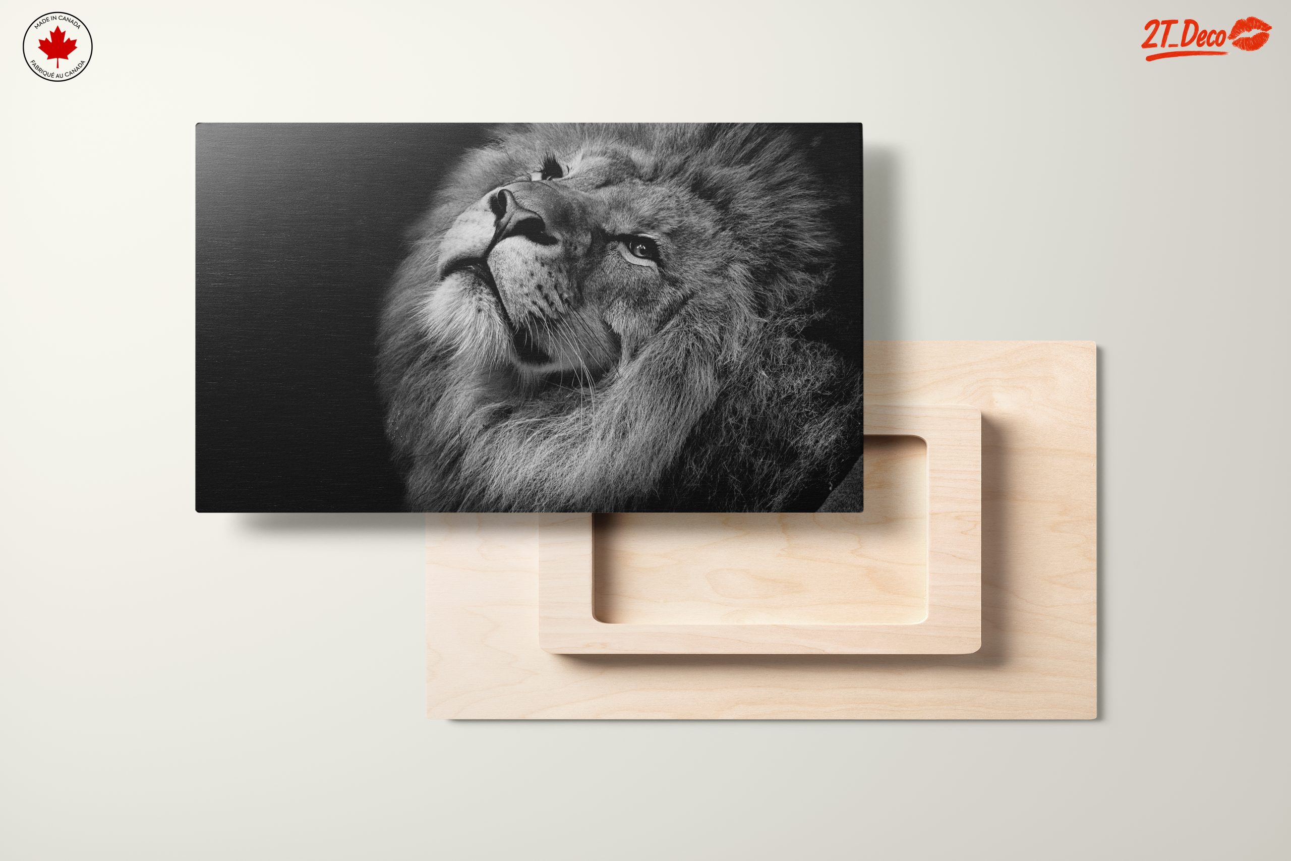 Majestic Black and White Lion Portrait - Image 11