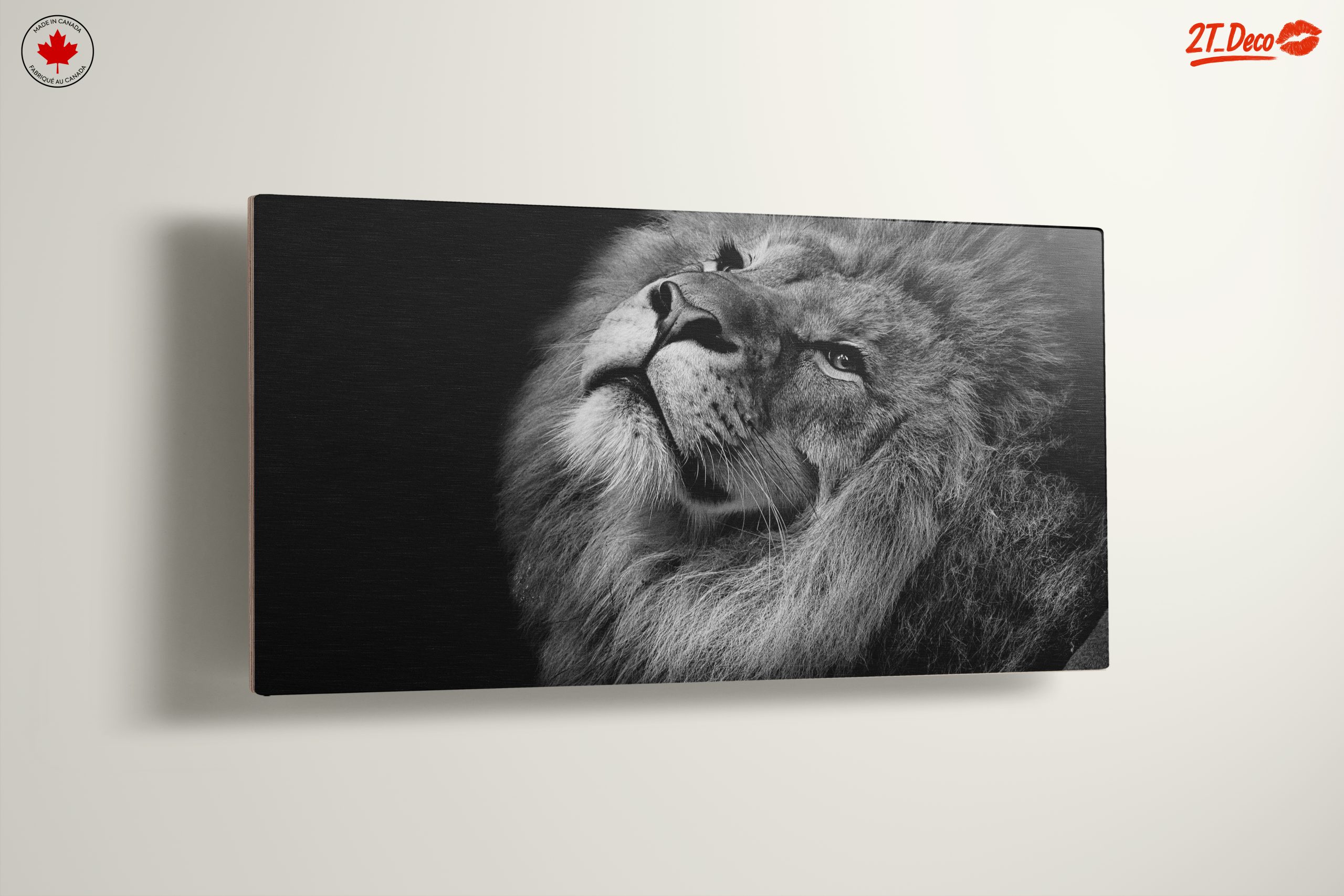Majestic Black and White Lion Portrait - Image 13