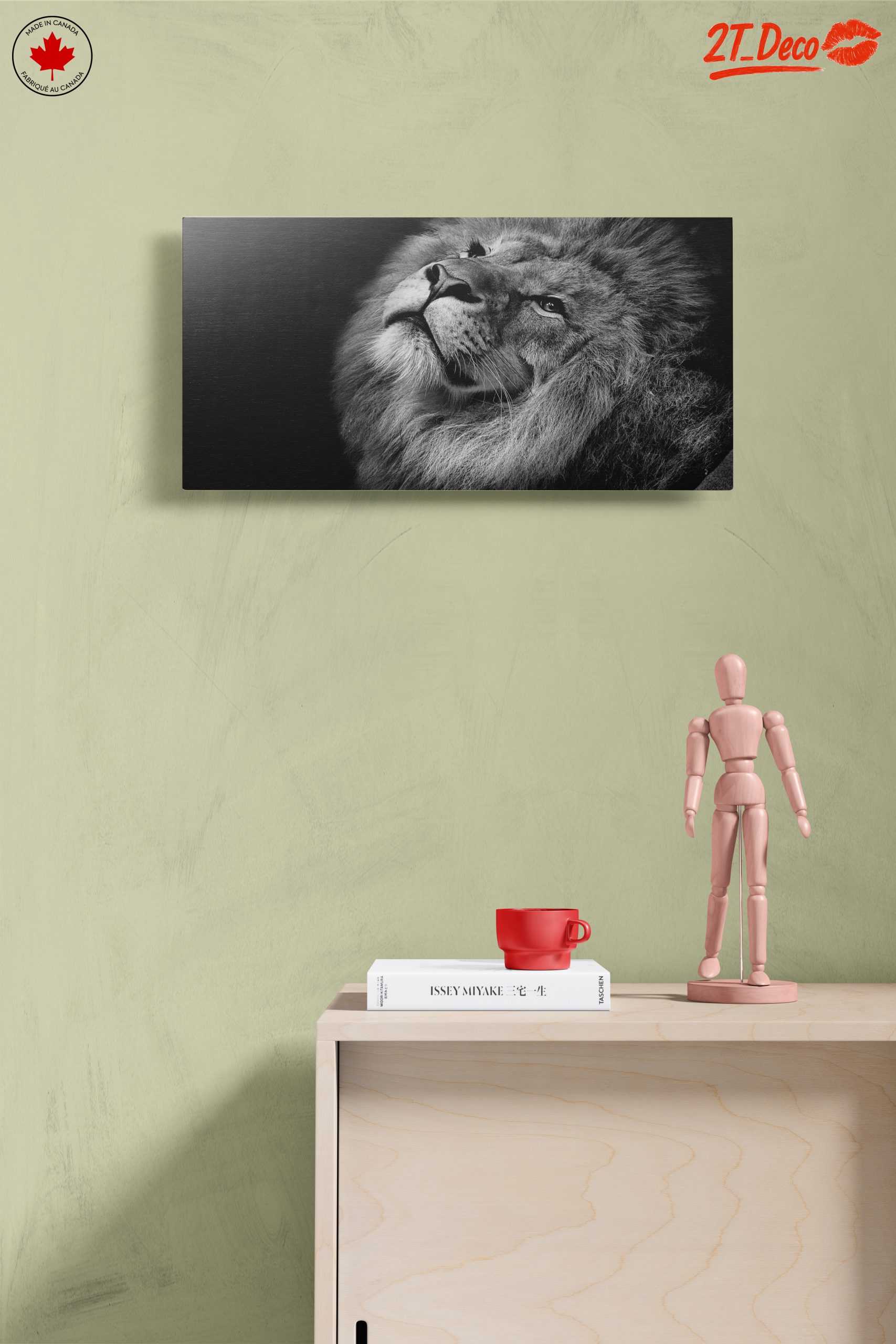 Majestic Black and White Lion Portrait - Image 14