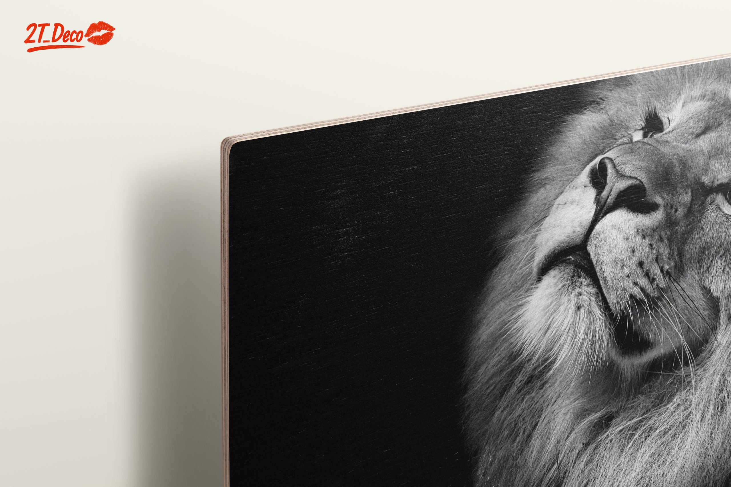 Majestic Black and White Lion Portrait - Image 15