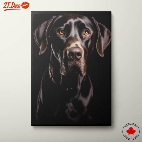 Stunning Black Dog Portrait