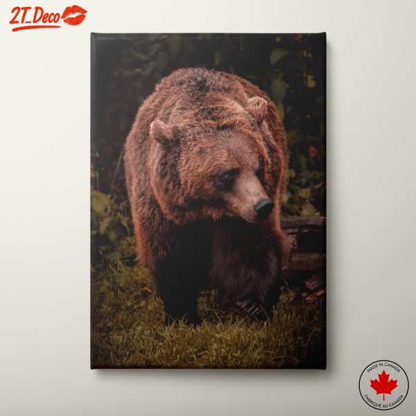 Realistic Bear Wall Art 2