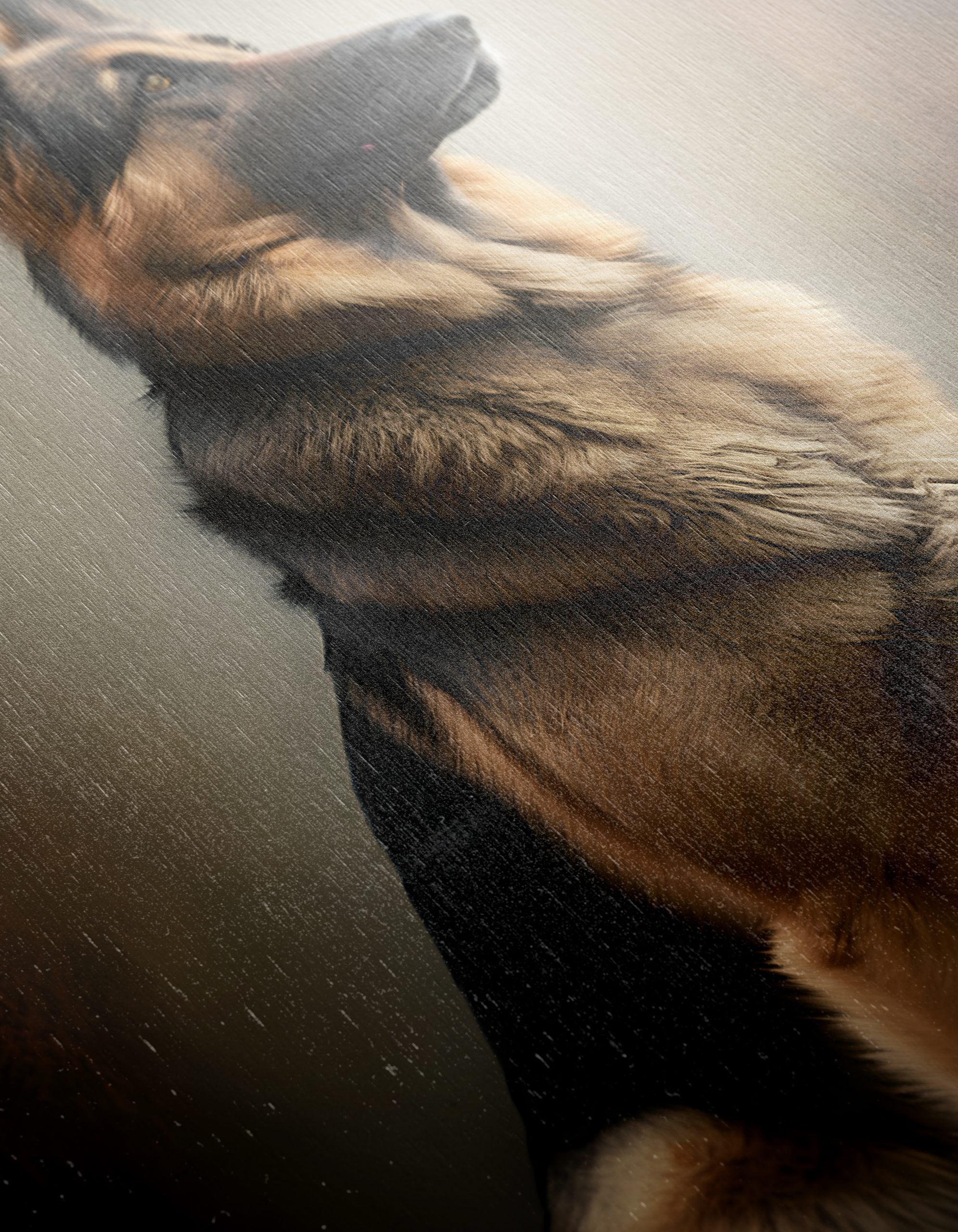Majestic German Shepherd Wall Art - Image 12