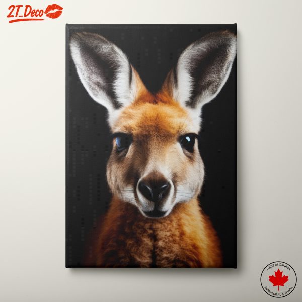 Kangaroo Portrait Close-Up