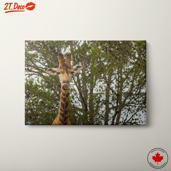 Majestic Giraffe Wall Art