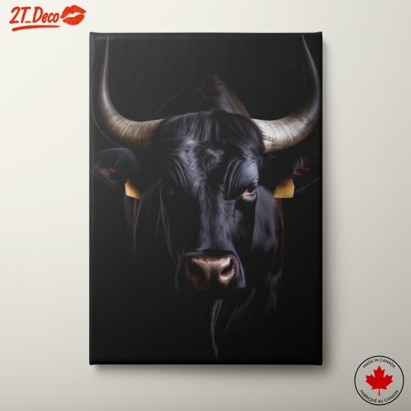 Stunning Black Bovine Portrait