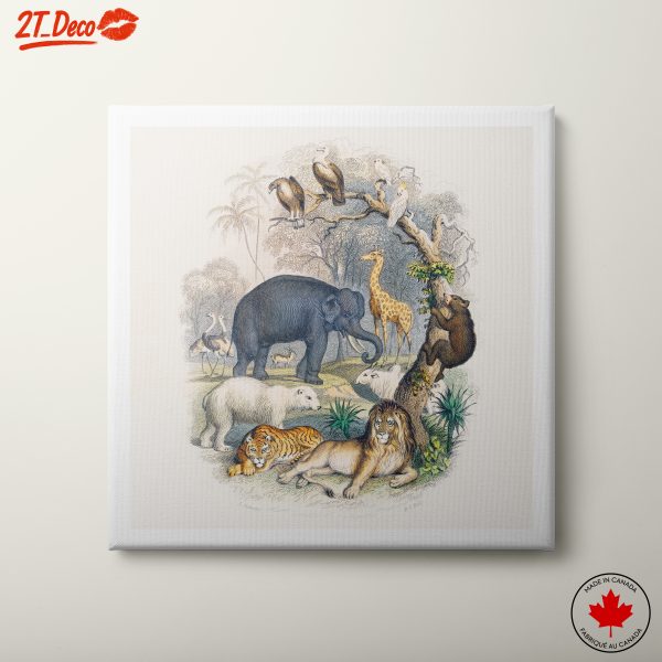 Colorful Artistic Animals in Nature