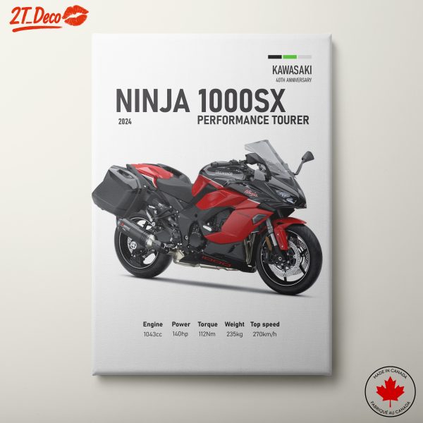 Kawasaki Ninja 1000SX Performance Tourer Motorcycle