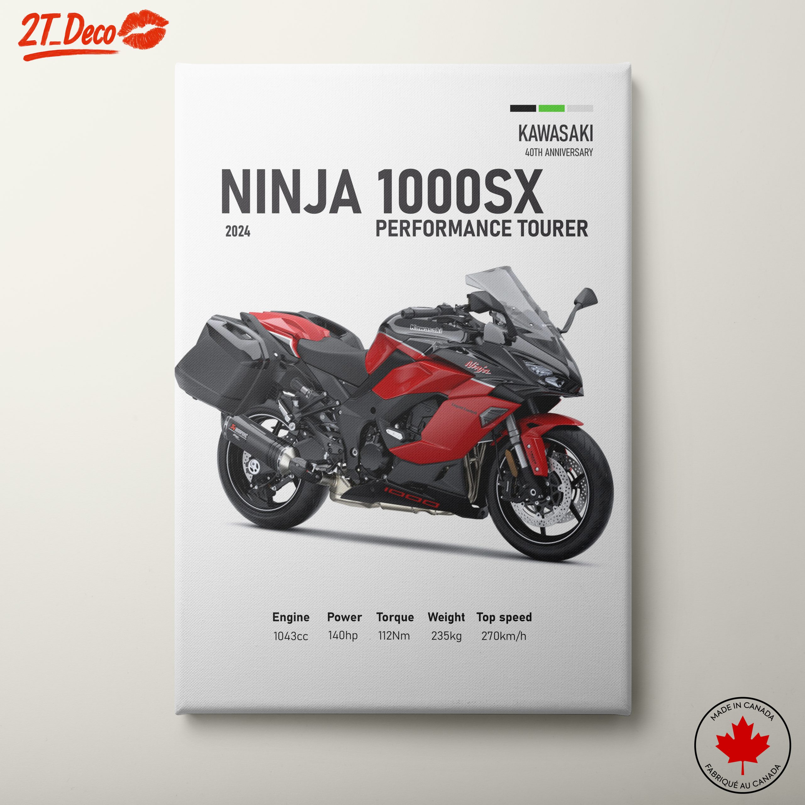 Kawasaki Ninja 1000SX Performance Tourer Motorcycle