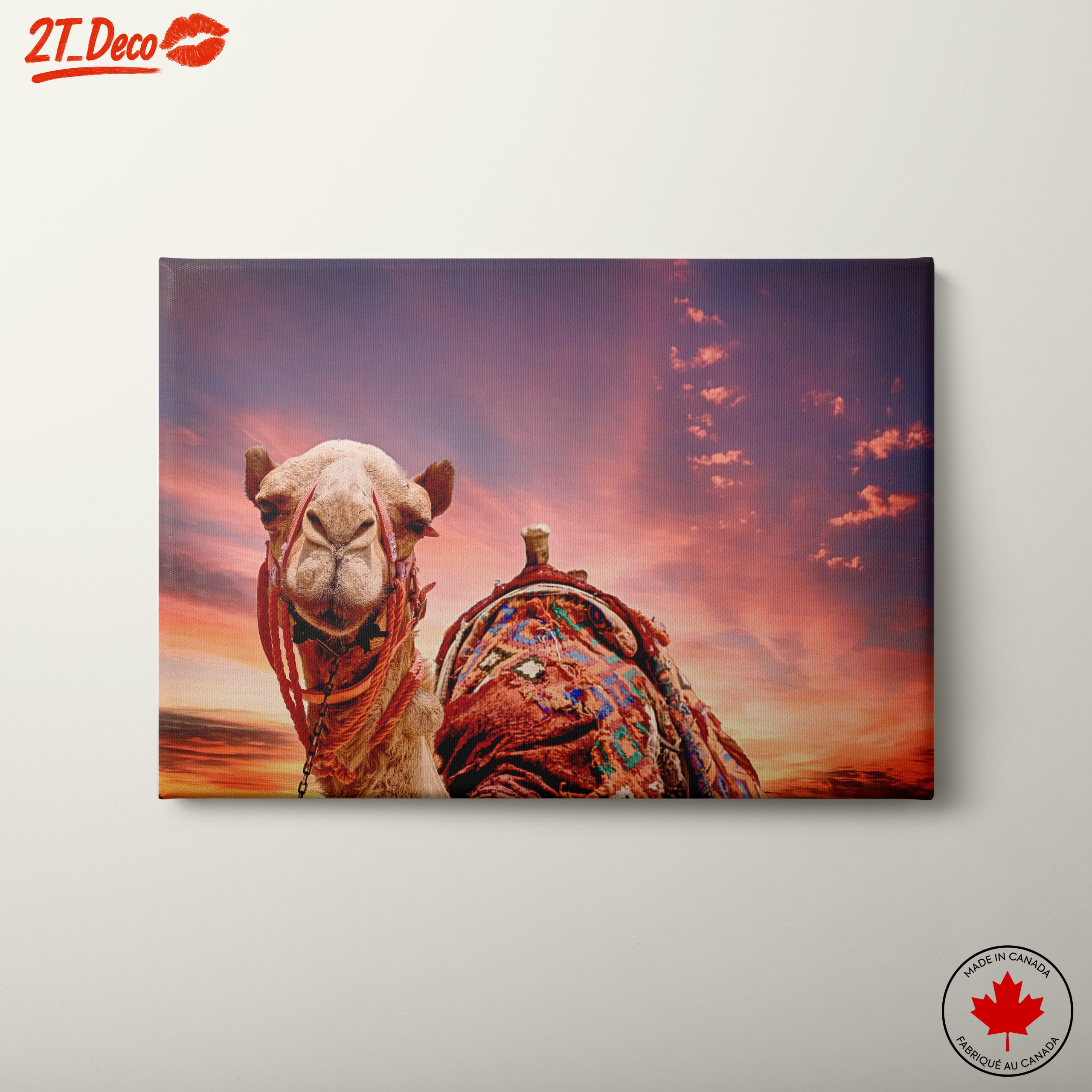 Camel Portrait Against a Desert Sunset