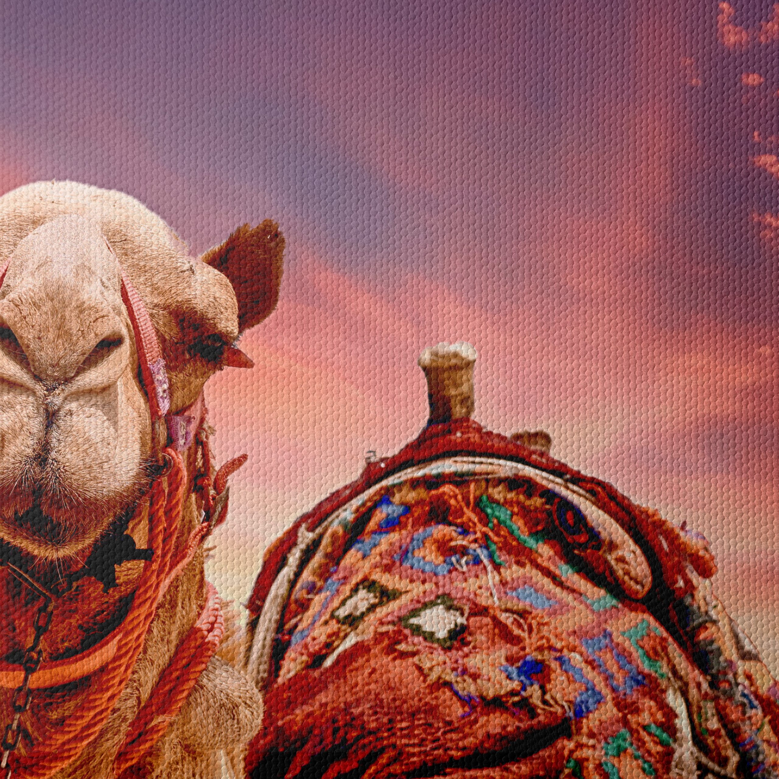 Camel Portrait Against a Desert Sunset - Image 4