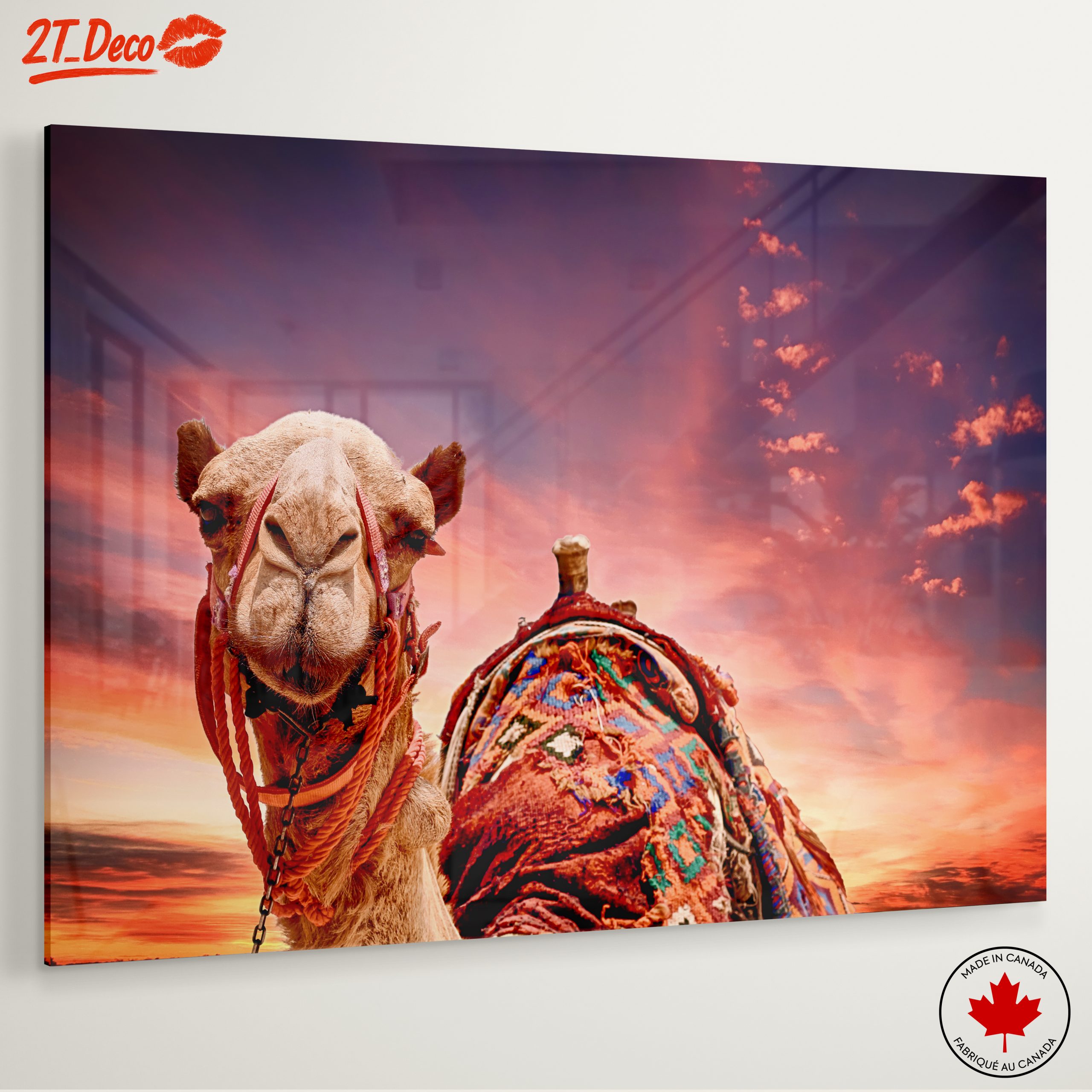 Camel Portrait Against a Desert Sunset - Image 6