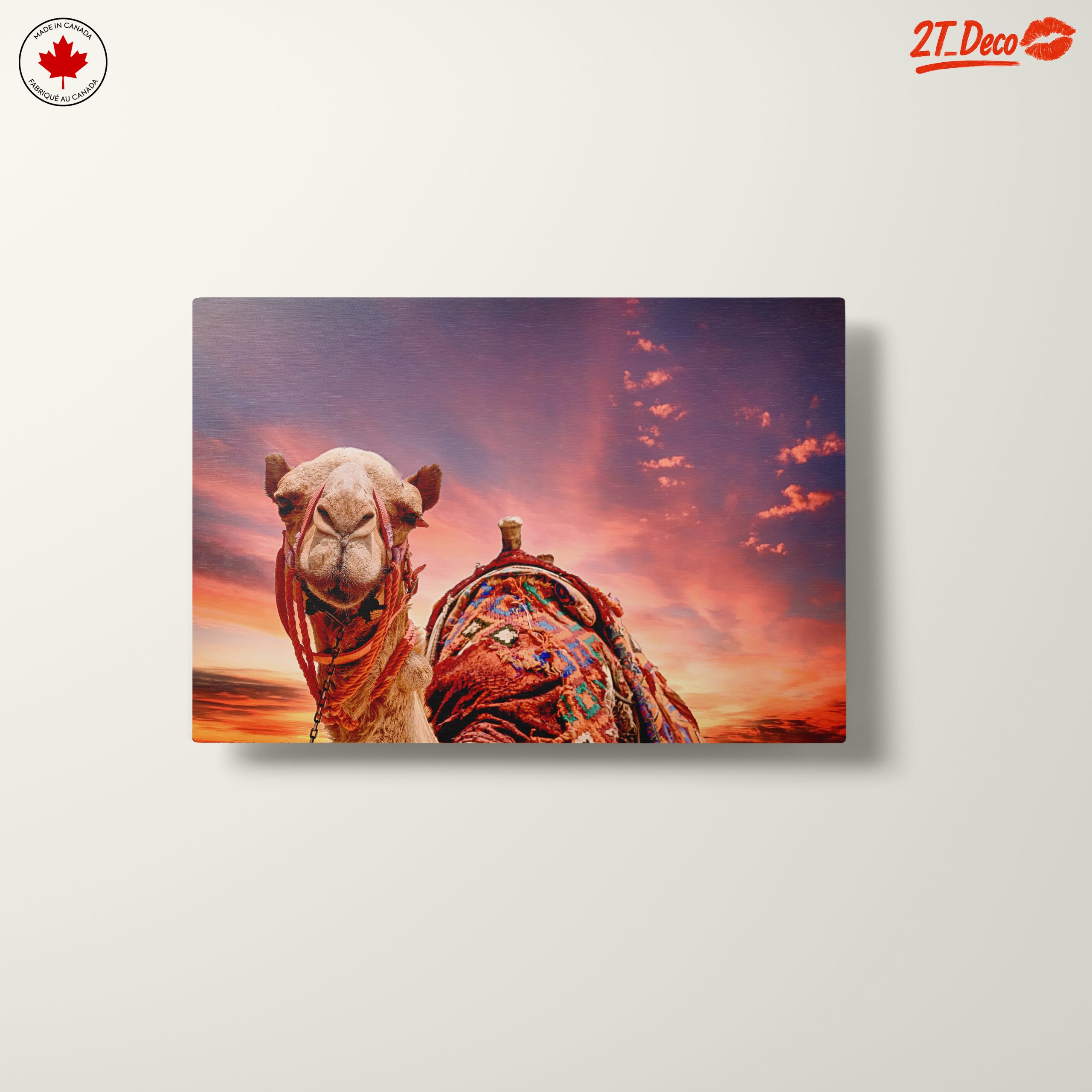 Camel Portrait Against a Desert Sunset - Image 10