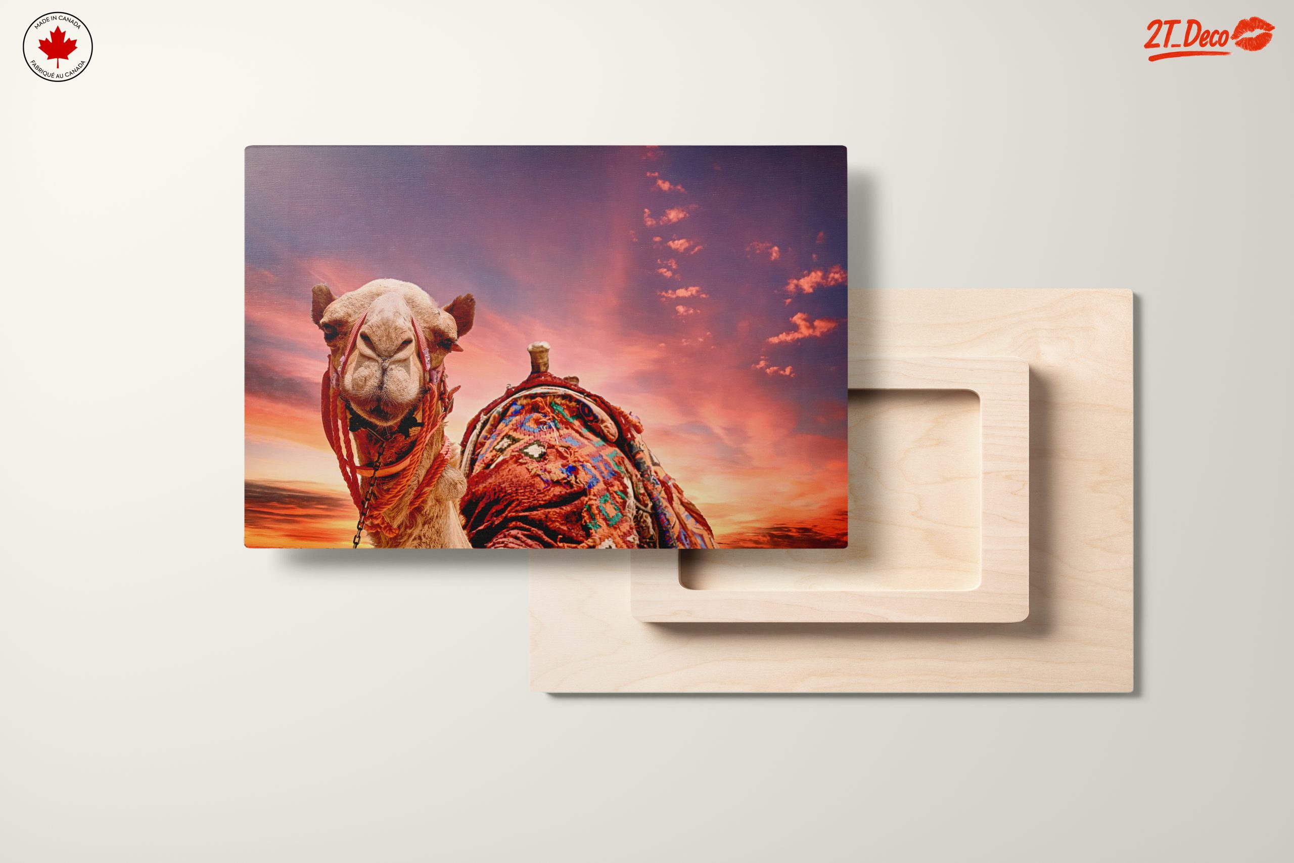 Camel Portrait Against a Desert Sunset - Image 11