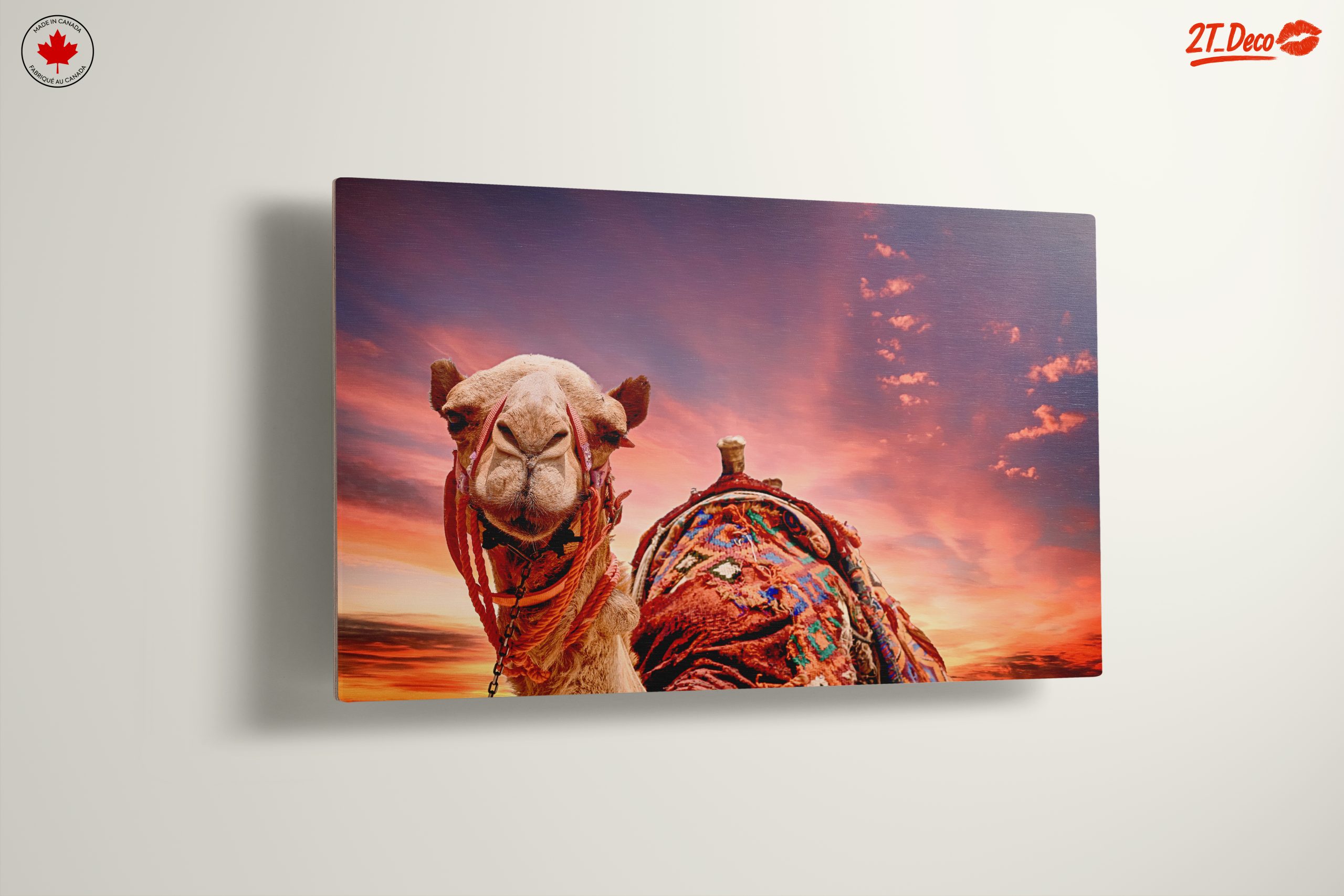 Camel Portrait Against a Desert Sunset - Image 13