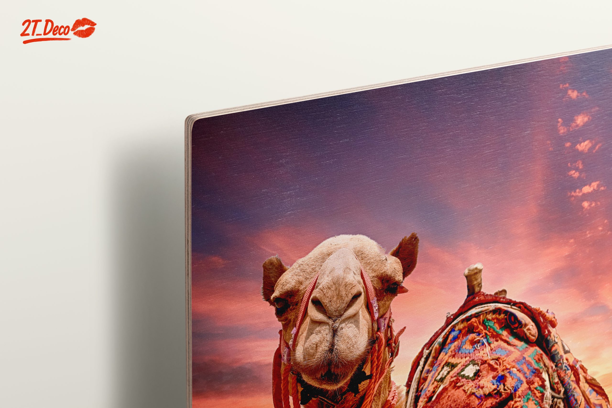 Camel Portrait Against a Desert Sunset - Image 15