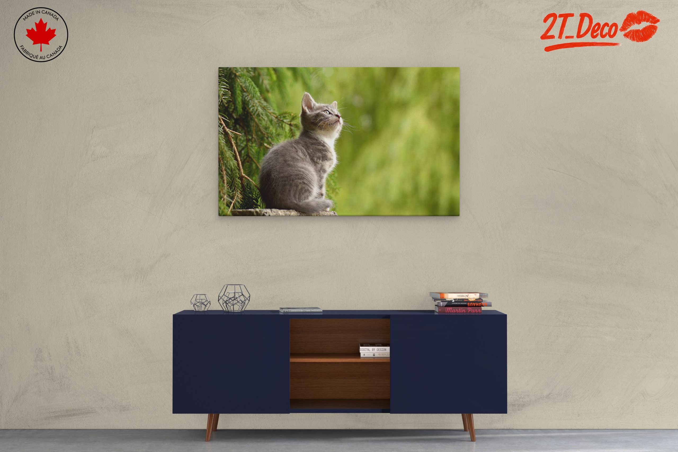 Gray Kitten Gazing at Nature - Image 3