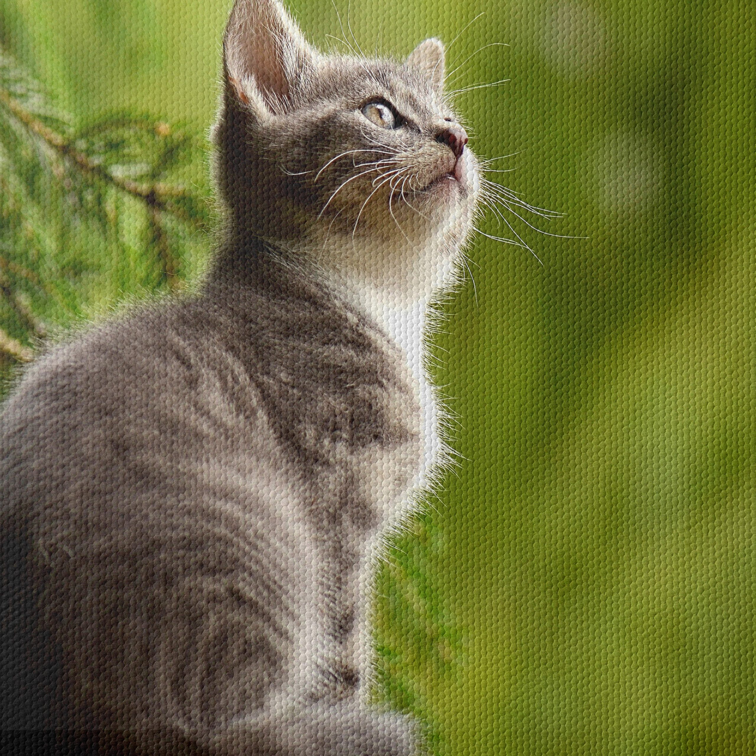 Gray Kitten Gazing at Nature - Image 4