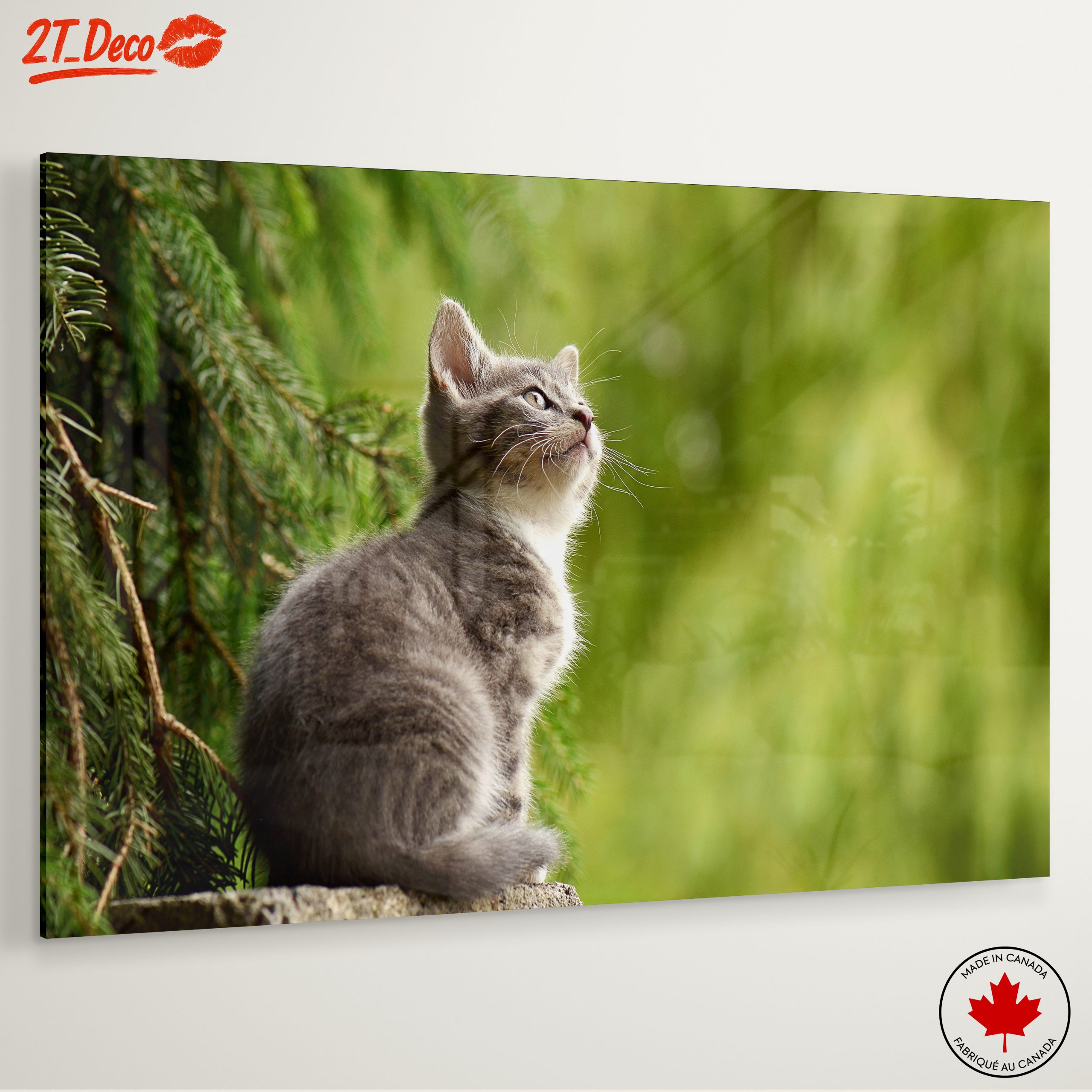 Gray Kitten Gazing at Nature - Image 6