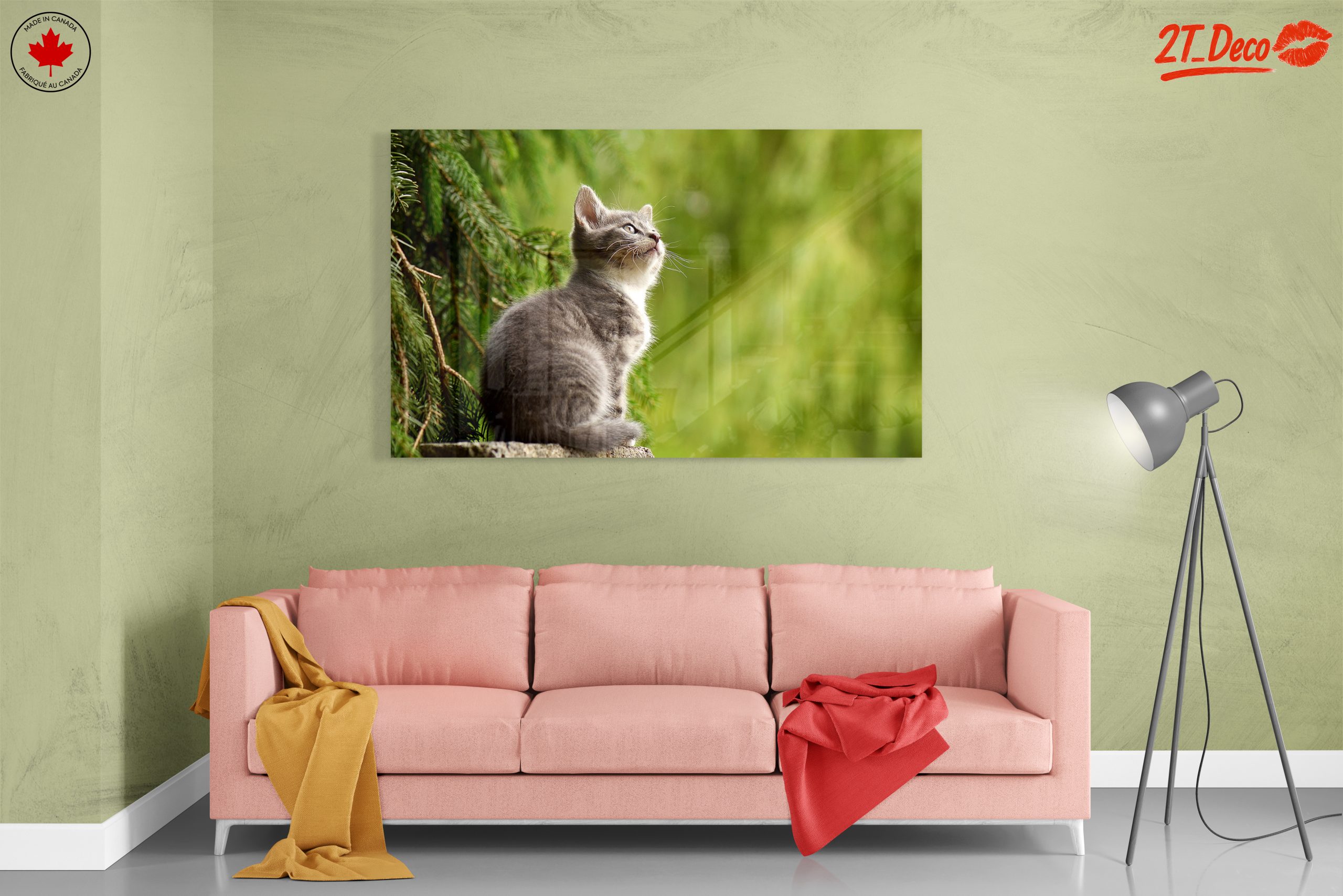 Gray Kitten Gazing at Nature - Image 7
