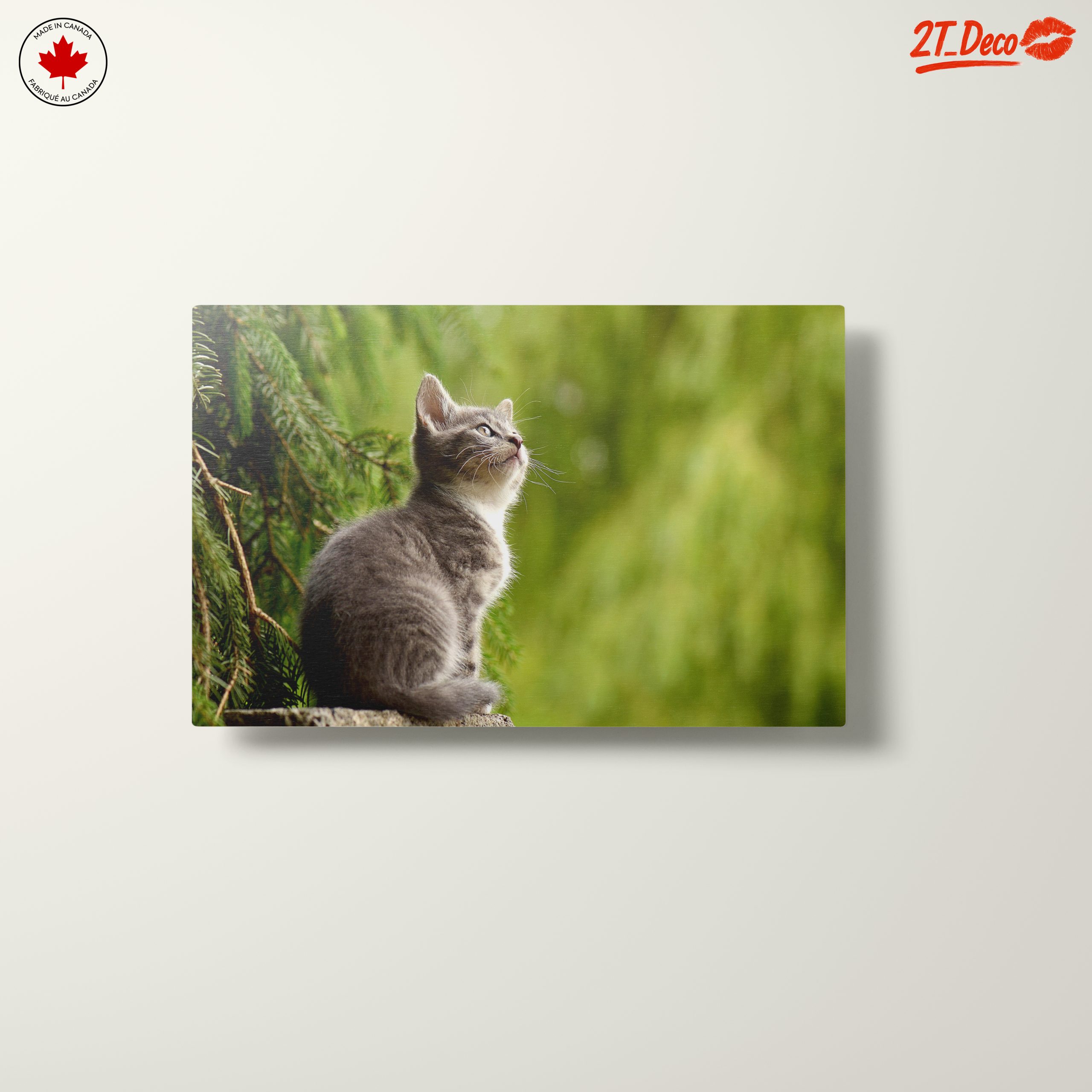 Gray Kitten Gazing at Nature - Image 10