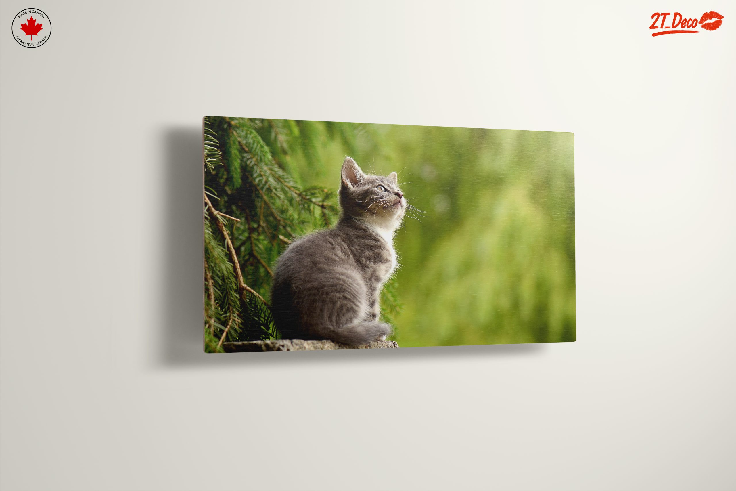Gray Kitten Gazing at Nature - Image 13