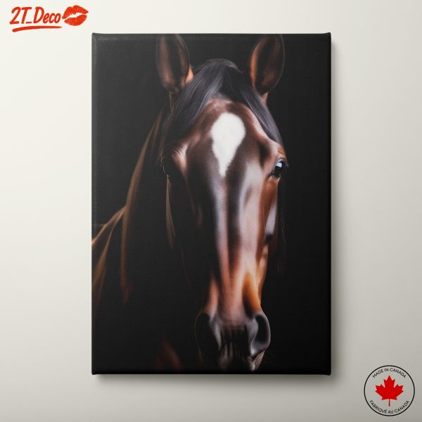Majestic Horse Portrait with Dramatic Lighting