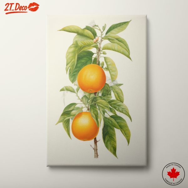Realistic Botanical Artwork of Oranges and Leaves