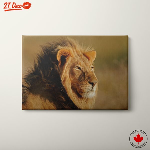 Majestic Lion Portrait Wall Art 2