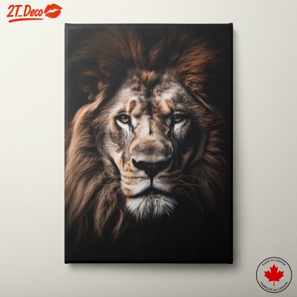 Majestic Lion Portrait Wall Art 9