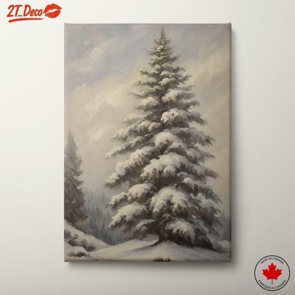 Snowy Evergreen Tree in Nature