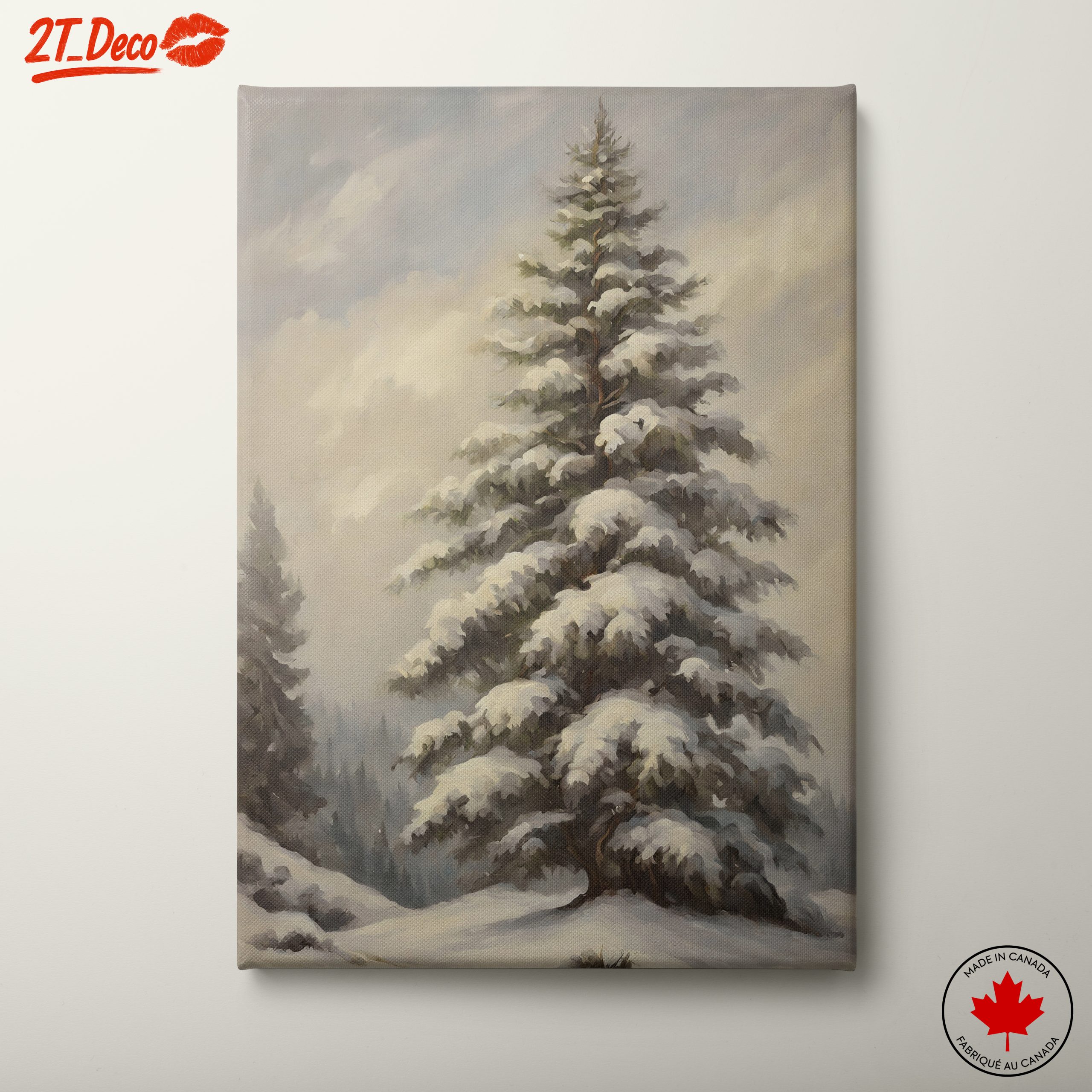 Snowy Evergreen Tree in Nature