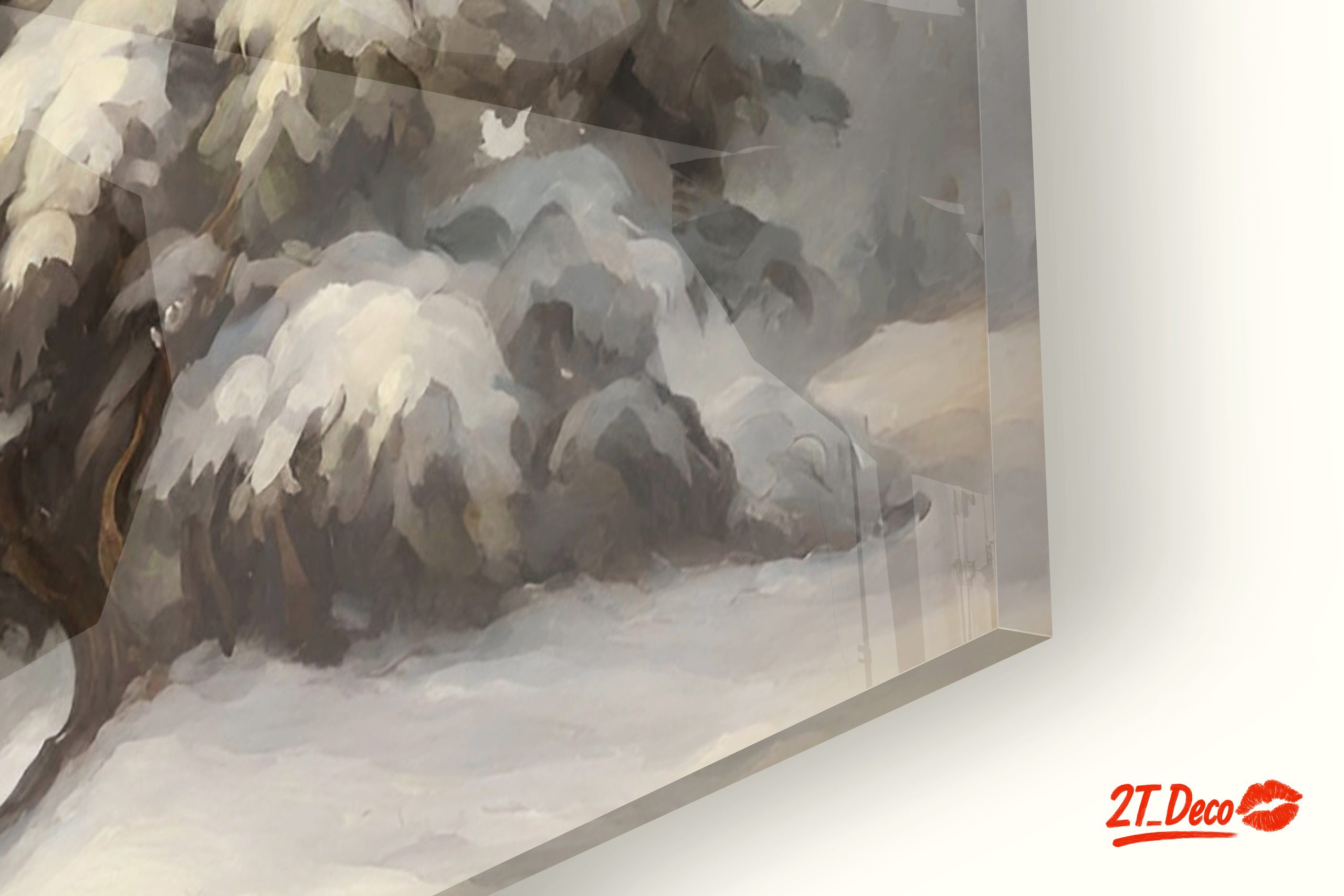 Snowy Evergreen Tree in Nature - Image 9