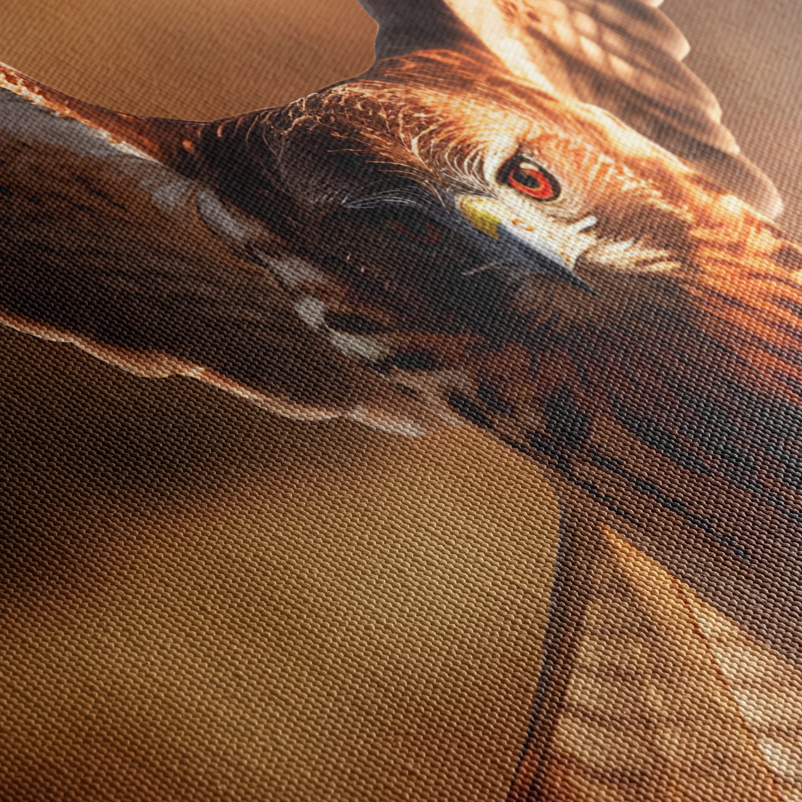 Majestic Eagle in Flight Wall Art 2 - Image 5