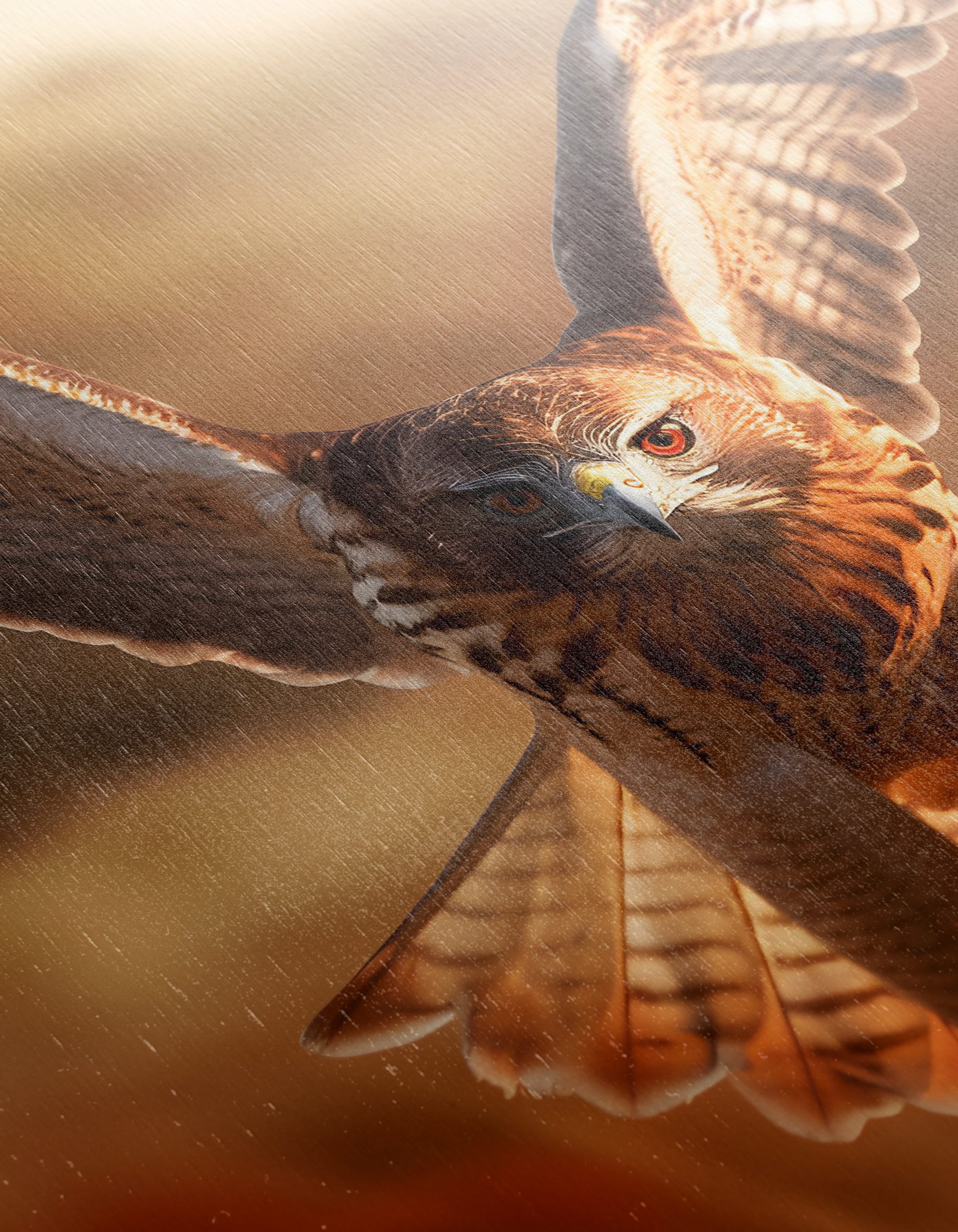 Majestic Eagle in Flight Wall Art 2 - Image 12