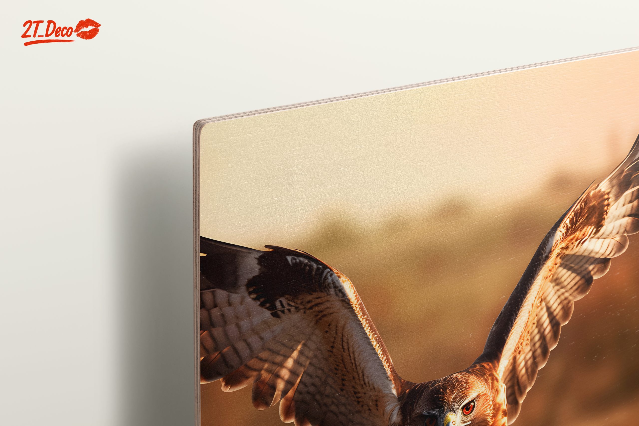 Majestic Eagle in Flight Wall Art 2 - Image 15