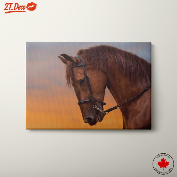 Majestic Horse Portrait in Sunset