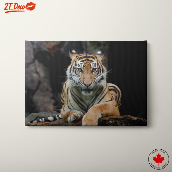 Majestic Tiger Wall Art 3