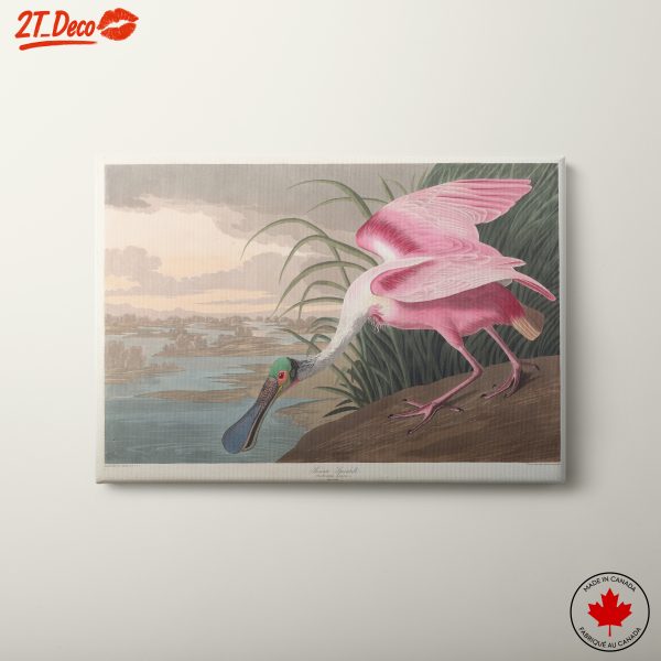 Vibrant Pink Bird in Natural Habitat