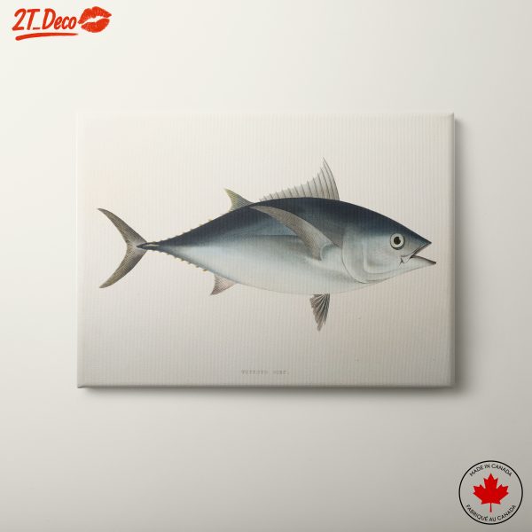 Realistic Tuna Illustration Marine Life Art